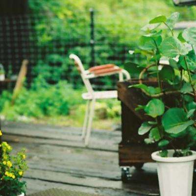 炸金花单机游戏下载手机版