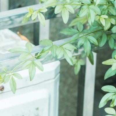 炸金花单机游戏下载手机版截图